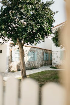 Stone house with pastel shutters and tree, captured in sunny Sığacık, İzmir.