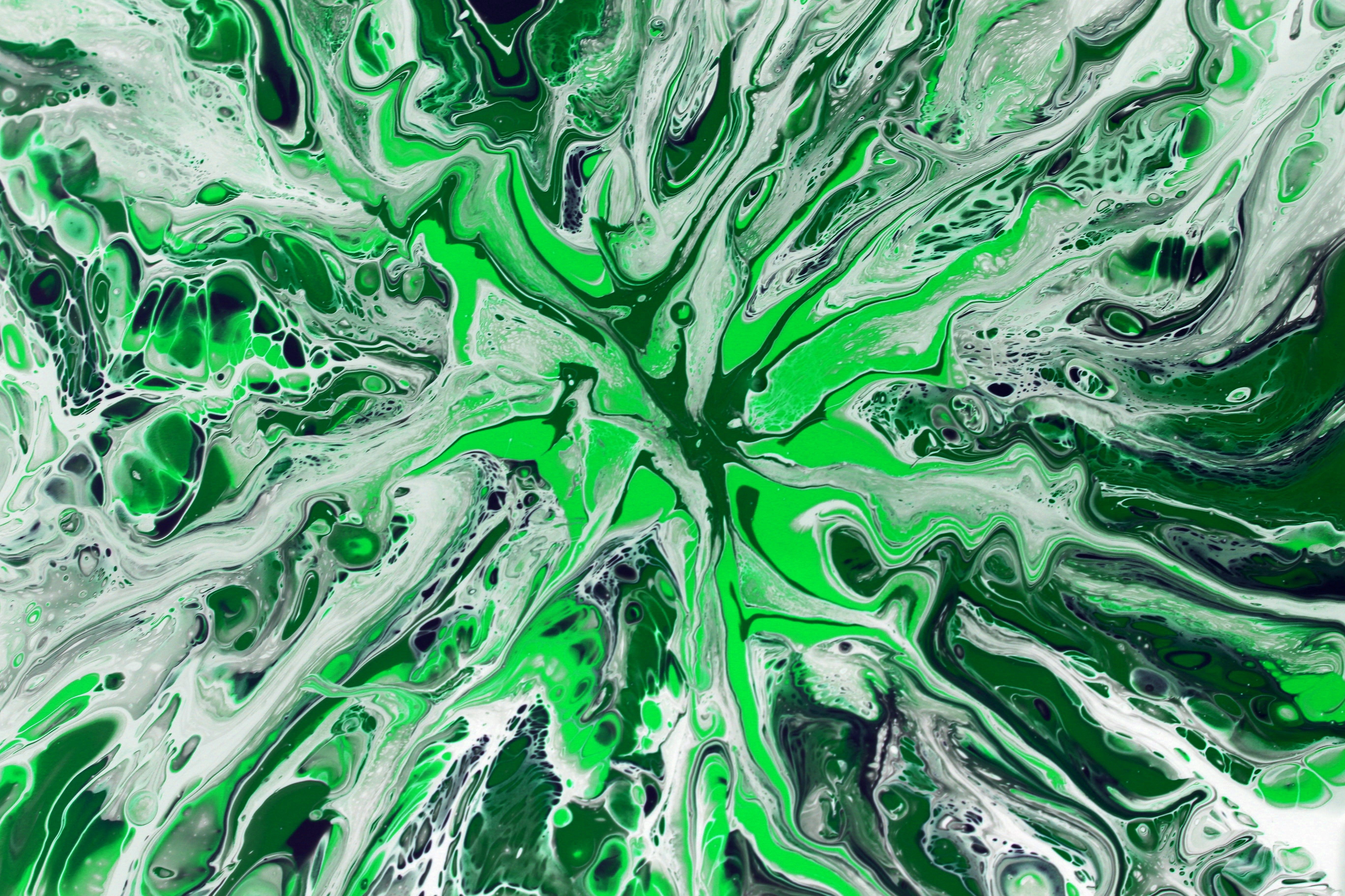 Abstract Green and White Fluid Art Texture · Free Stock Photo