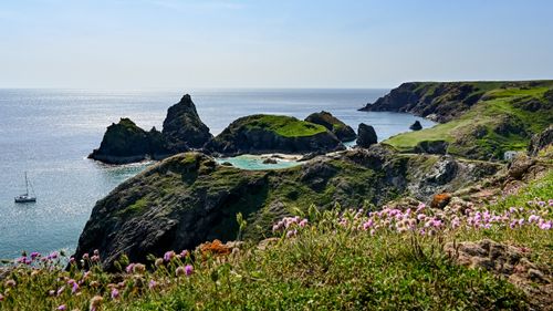 Free Explore the stunning coastal landscape of Kynance Cove, Cornwall, with vibrant greenery and rocky cliffs. Stock Photo