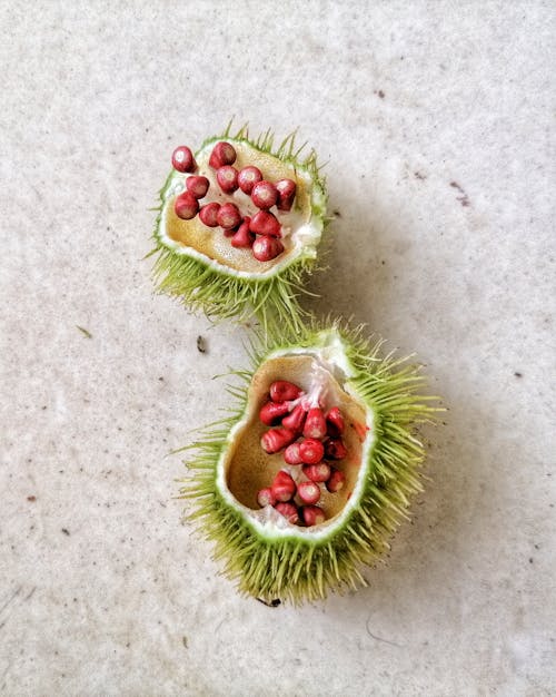 Annatto Fruit