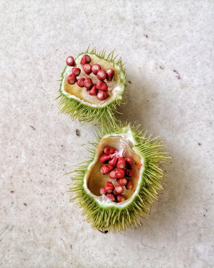 Annatto Fruit