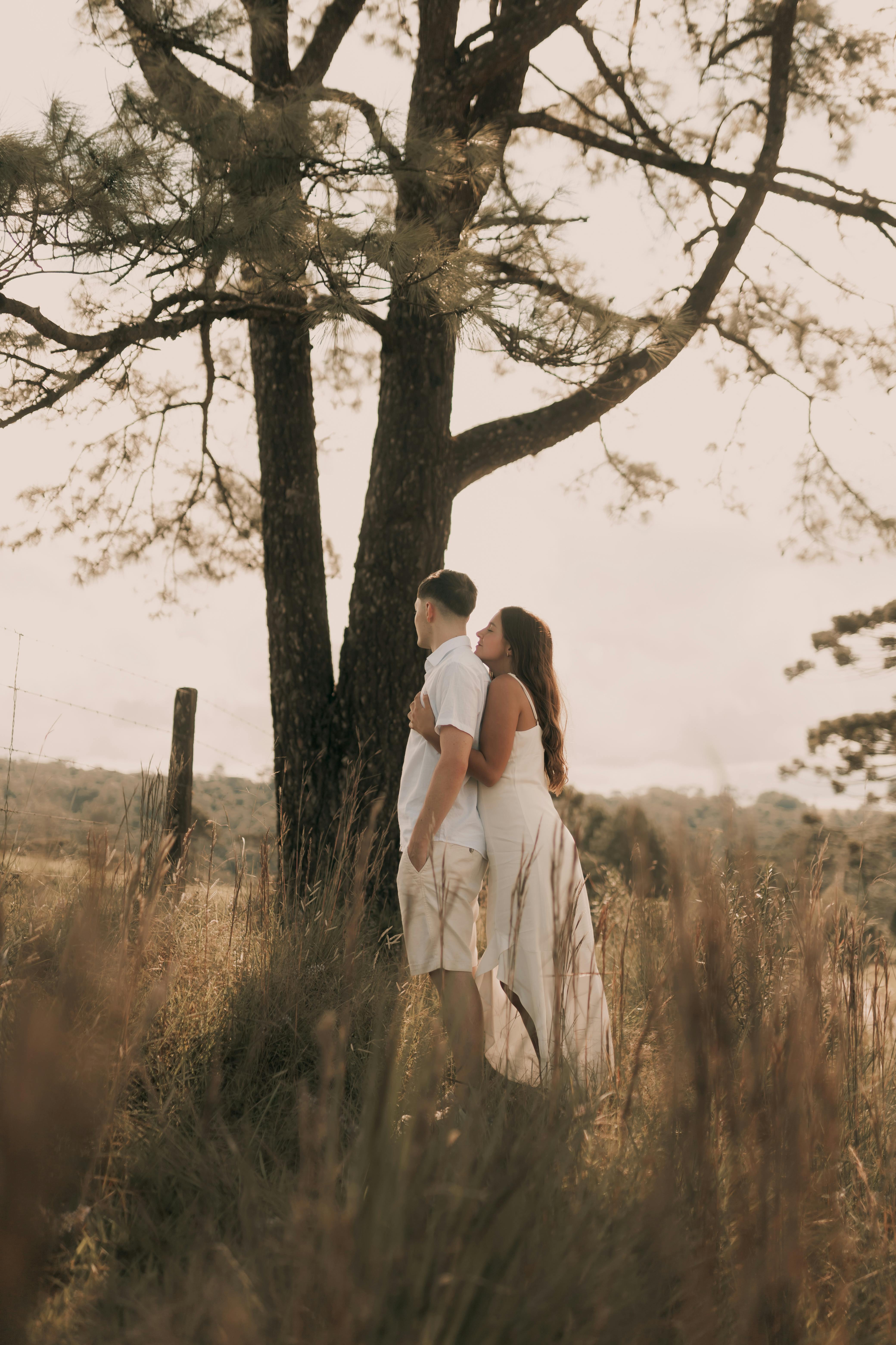 免費 一對情侶在風景優美的草地上的一棵樹下擁抱，充滿浪漫與寧靜。 圖庫相片