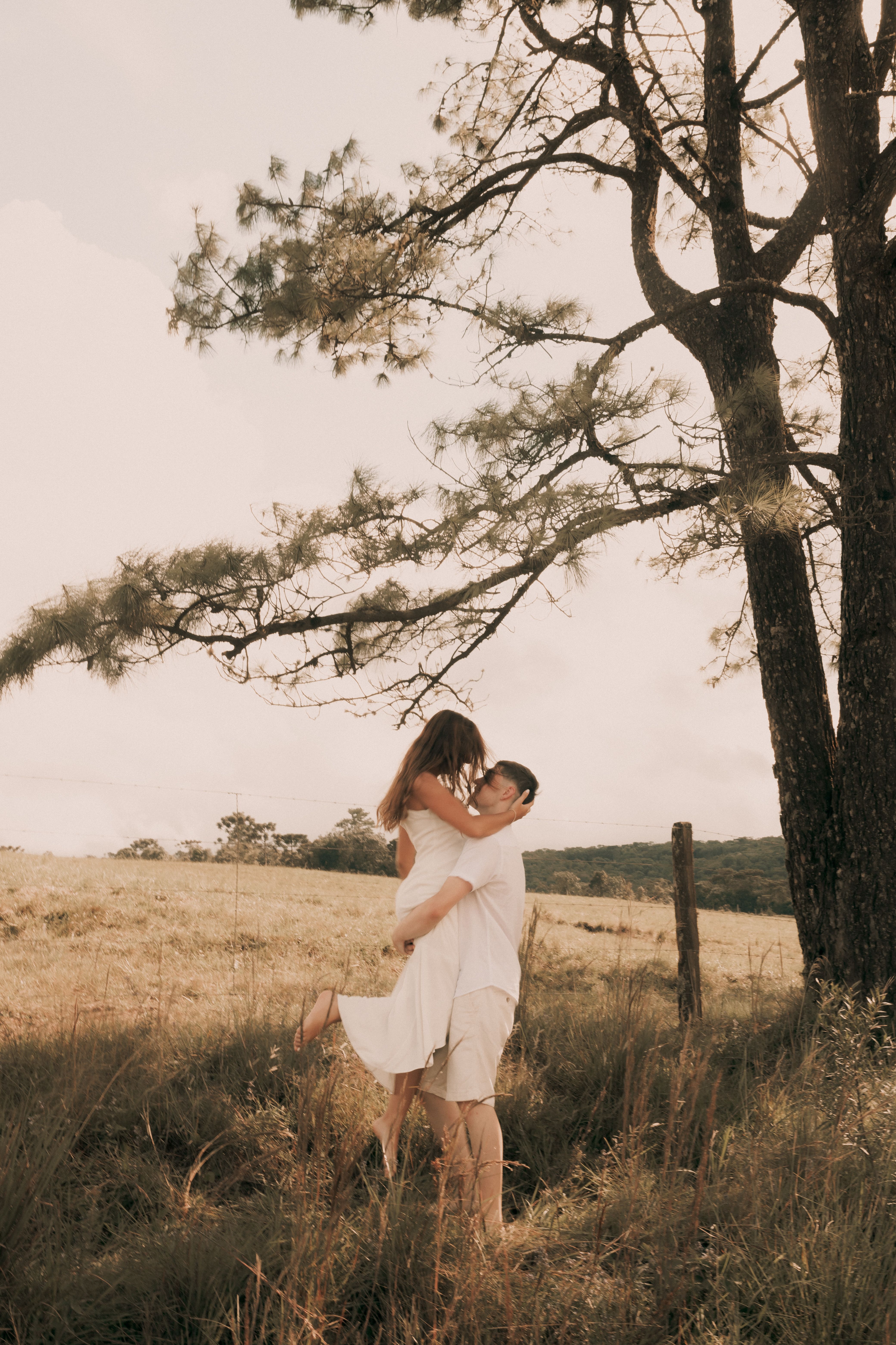 A couple embracing lovingly under a tree in a summer field.