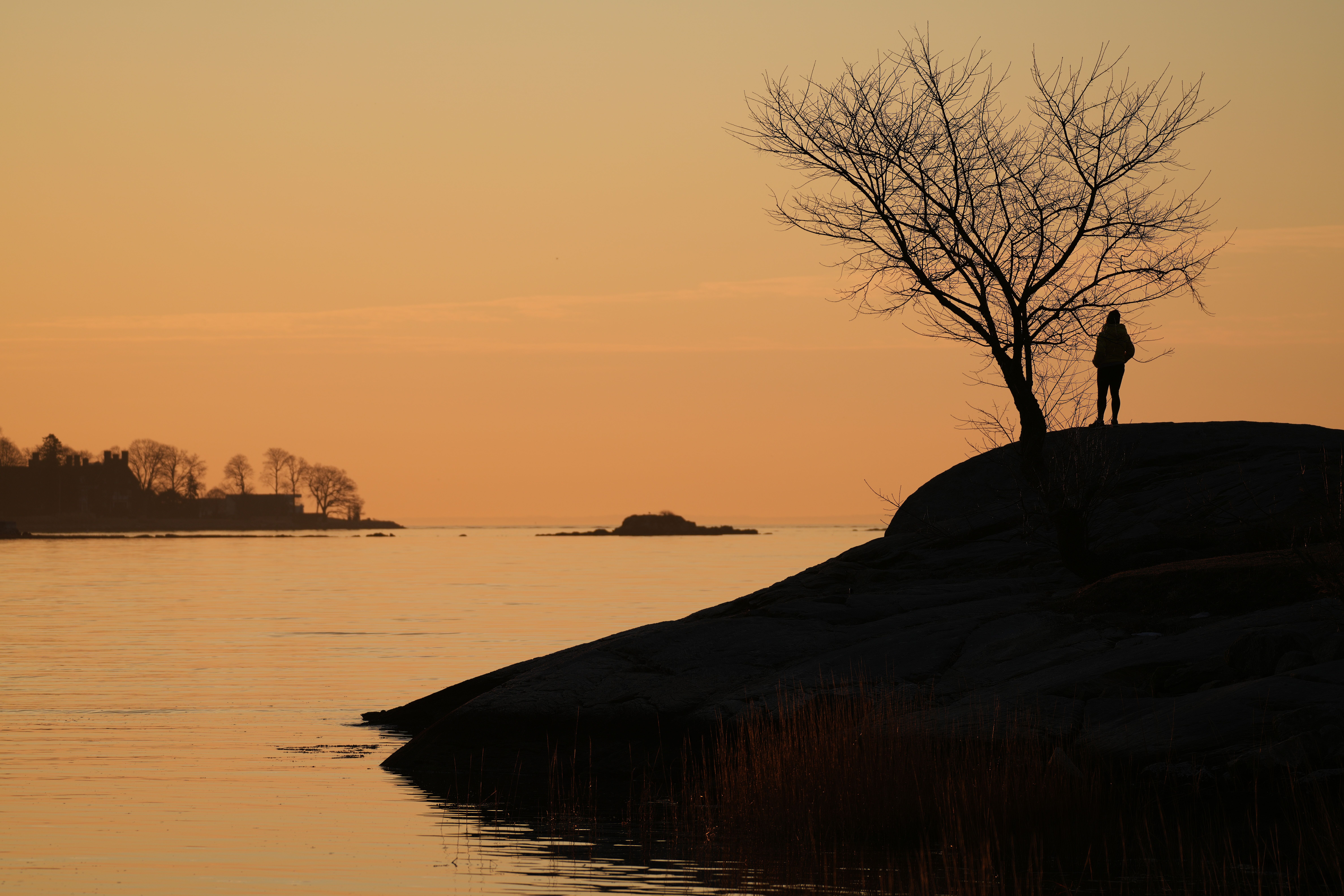Beautiful Landscape Tree Photos, Download The BEST Free Beautiful ...