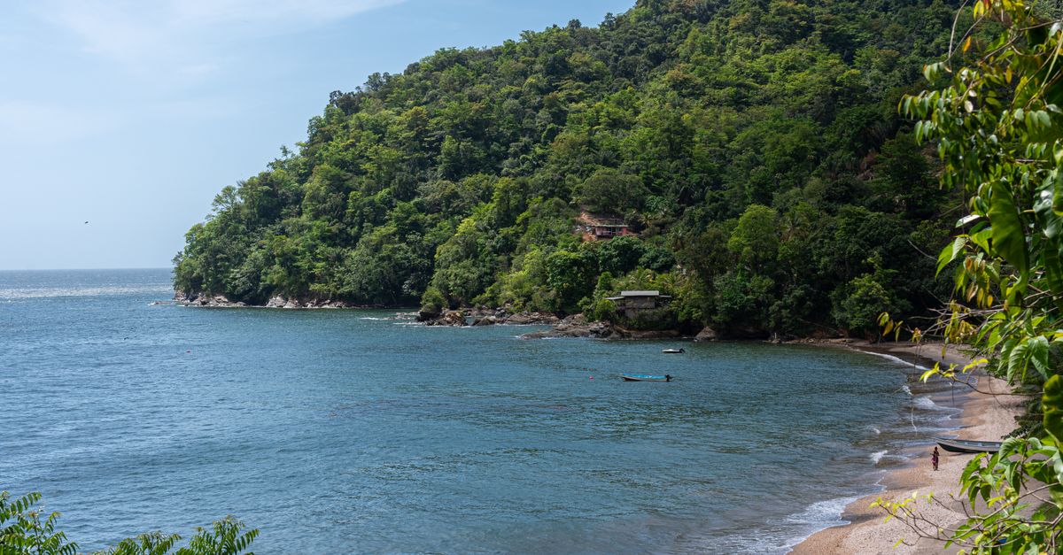 Tobago Caribbean island travel guide