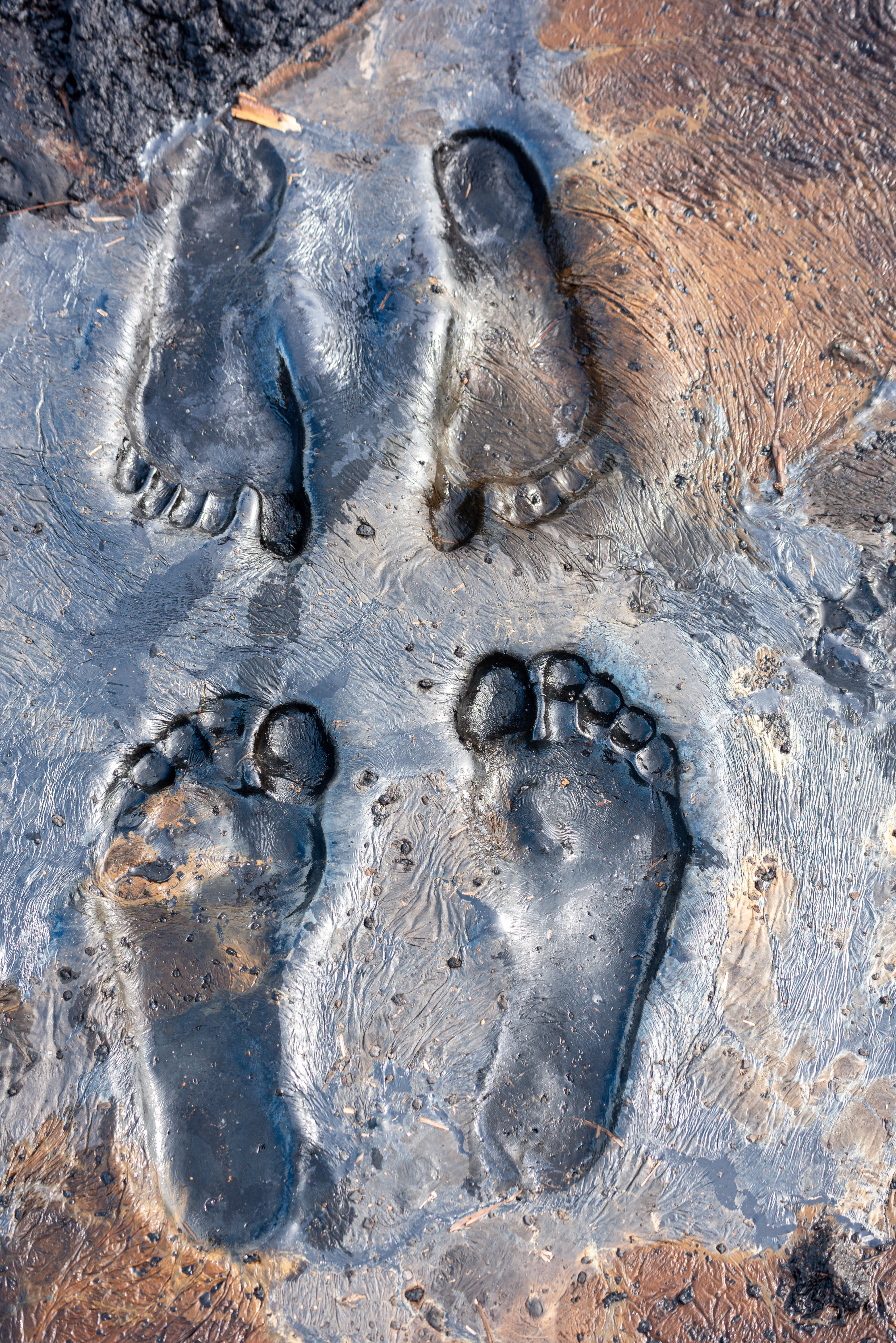 Footprints in Pitch Lake Trinidad Landscape · Free Stock Photo