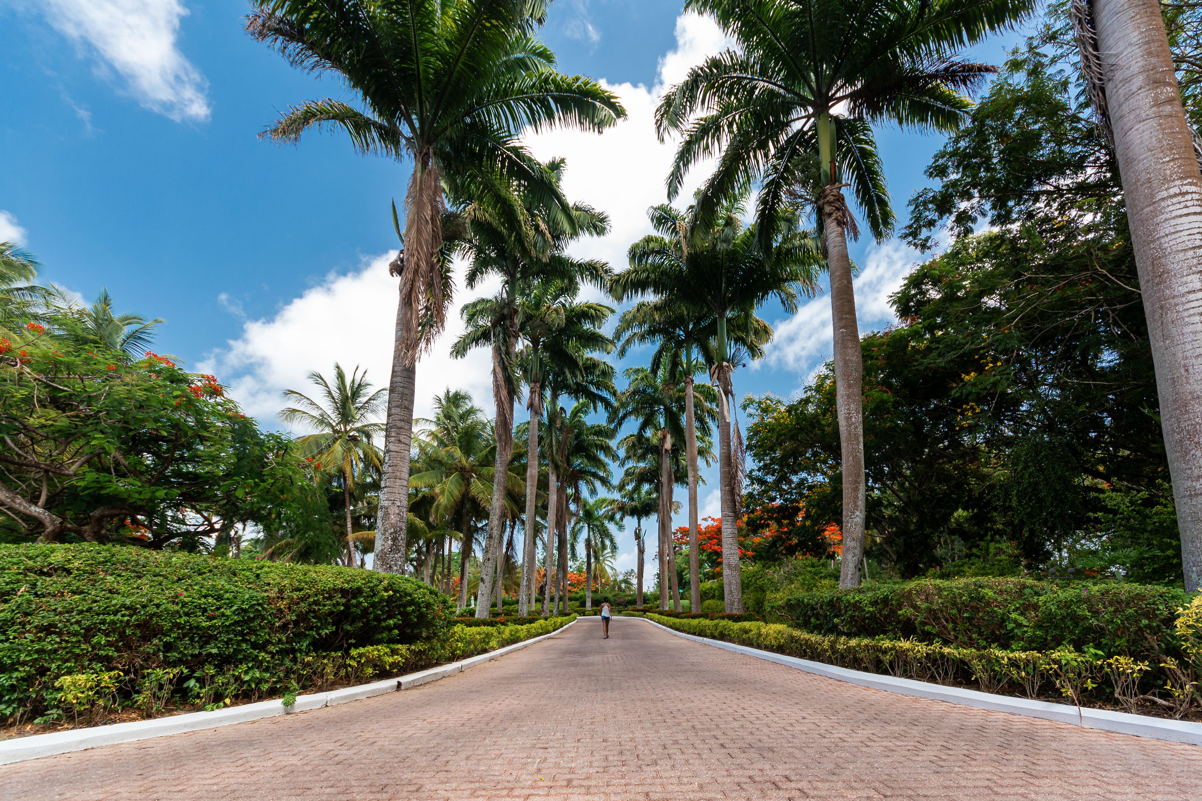 Ogród Botaniczny w Port-of-Spain
