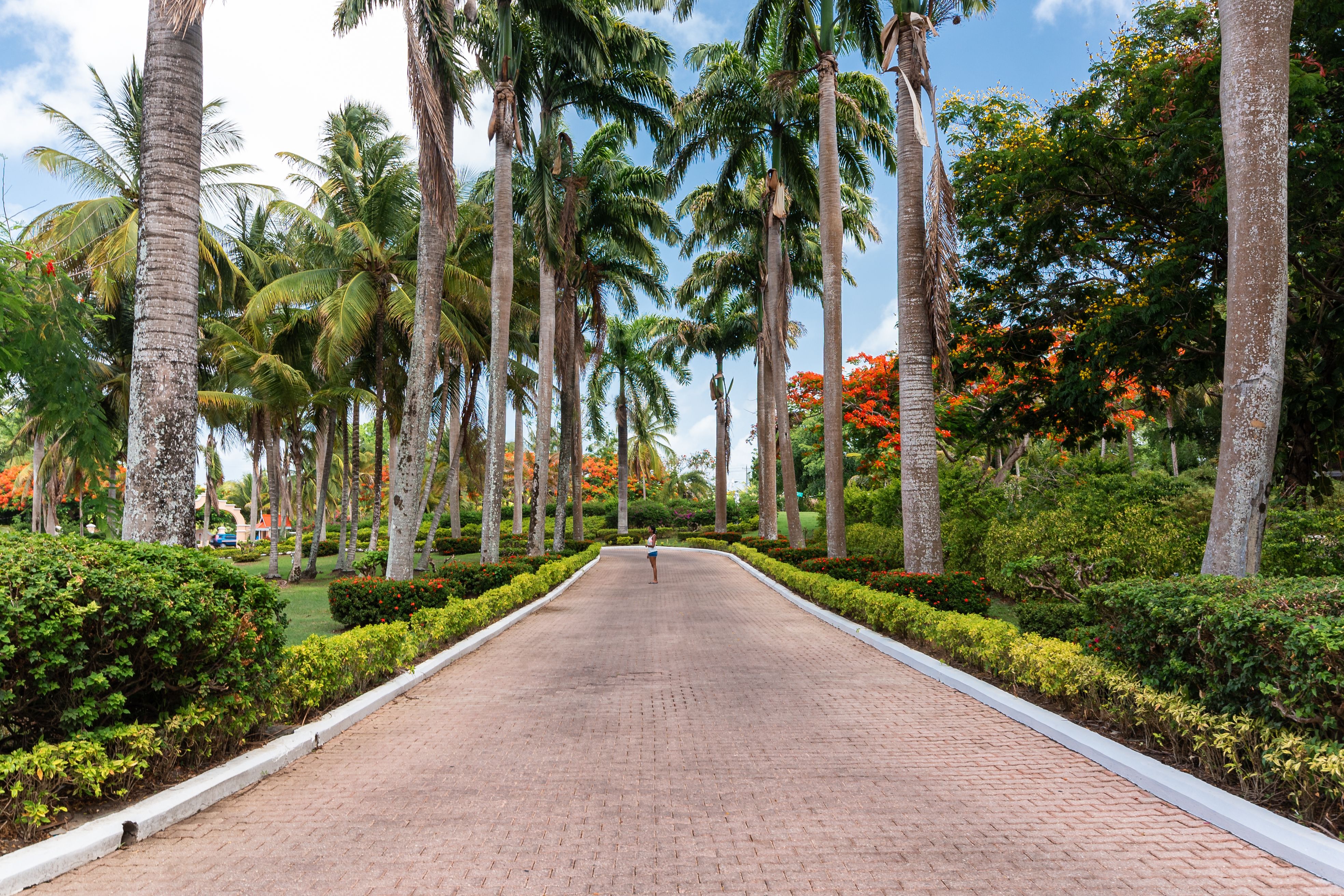 Best Time To Visit Trinidad and Tobago — Trinidad and Tobago travel guide photo