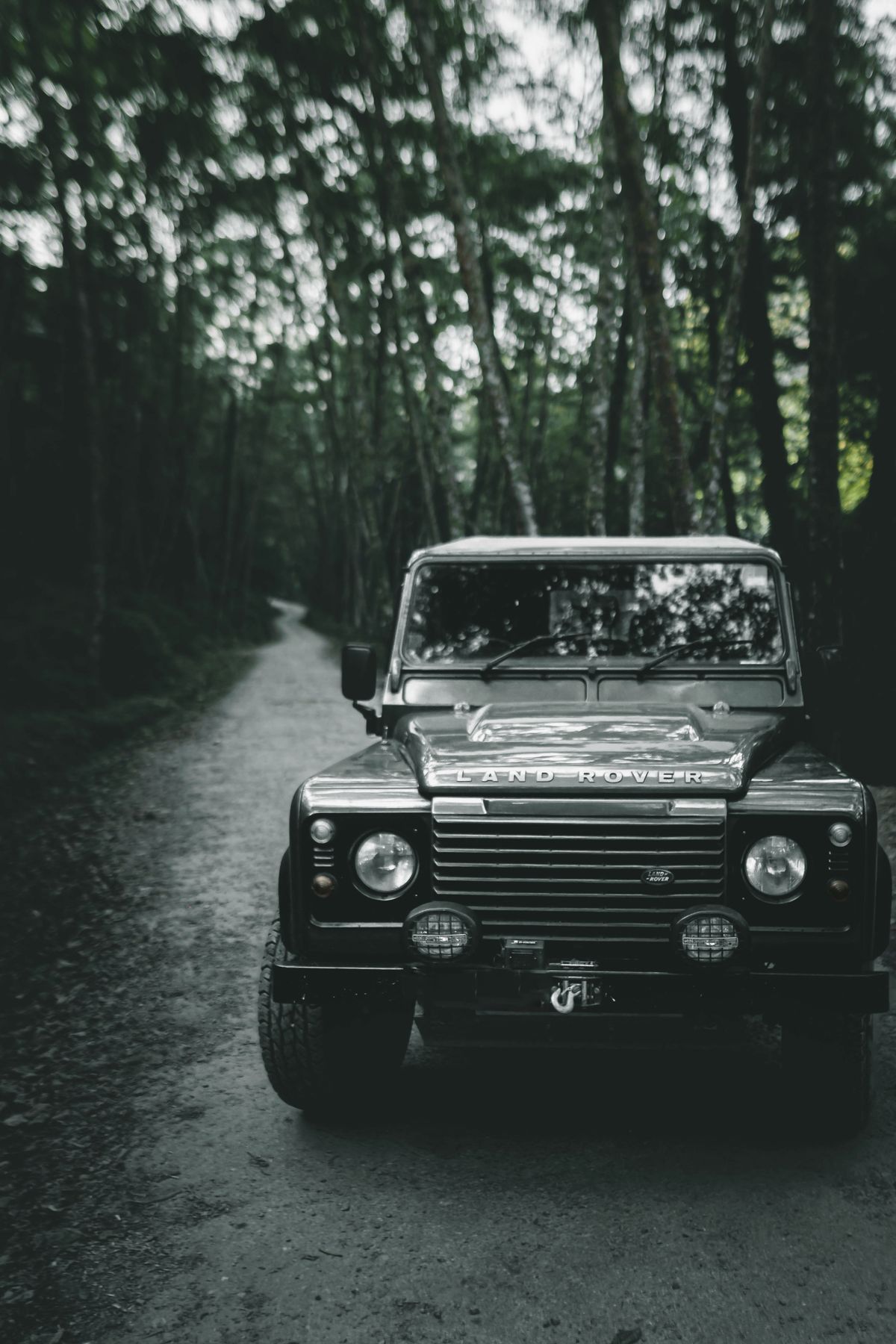 A classic Land Rover on a rough forest track under tall trees in the hills of Nepal