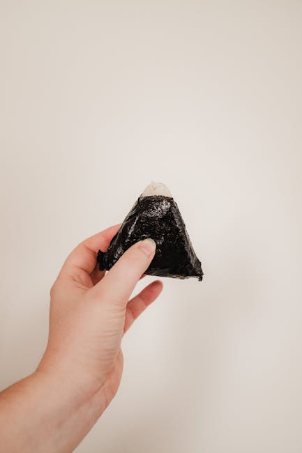 1. Onigiri (Rice Balls): Portable Perfection 1. Onigiri (Rice Balls): Portable Perfection