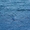 Single artwork — blue water surface by Benjamin Santiago on Pexels