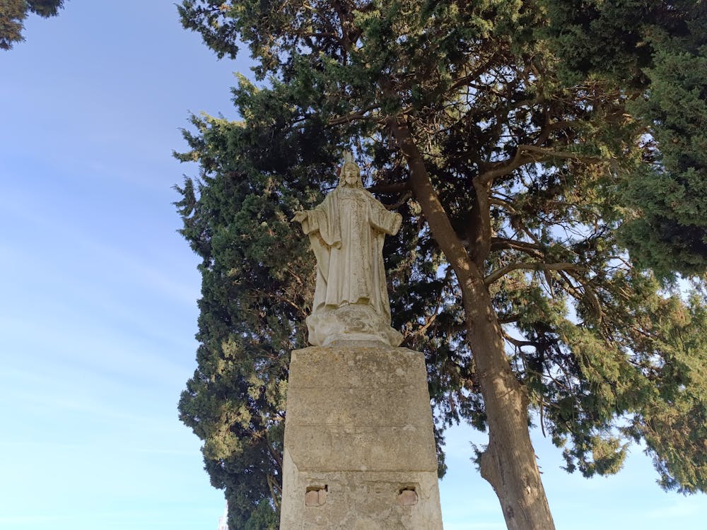 guardian de la campiña jerezana