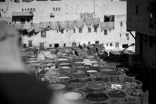 Black and white photo of a traditional tannery in Morocco with drying hides.