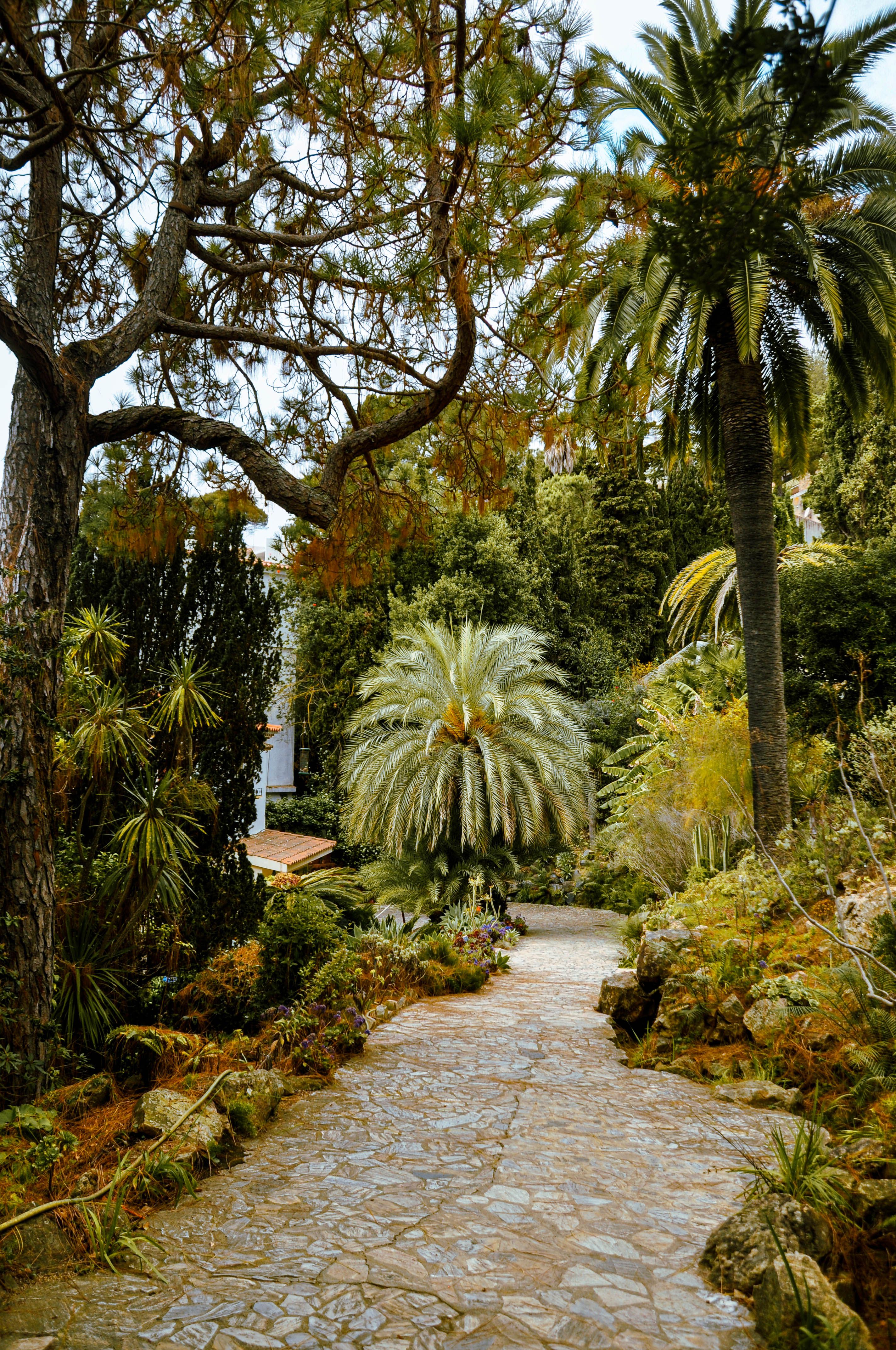 Grass Covered Pathway on a Garden · Free Stock Photo