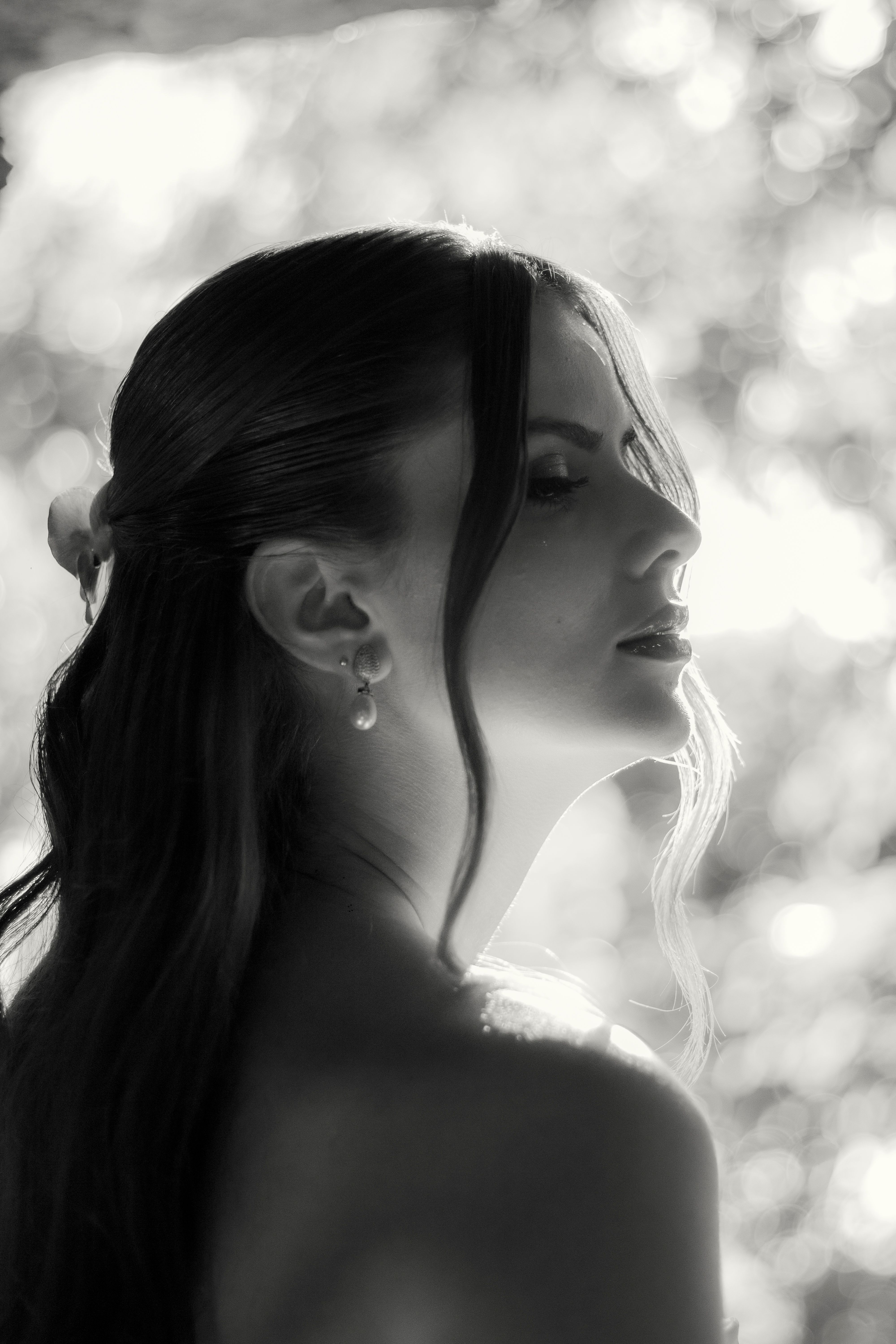 Elegant Black and White Portrait of a Woman · Free Stock Photo