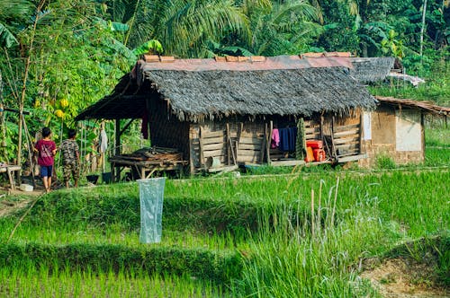 Ingyenes stockfotó bungaló, farm, fű témában