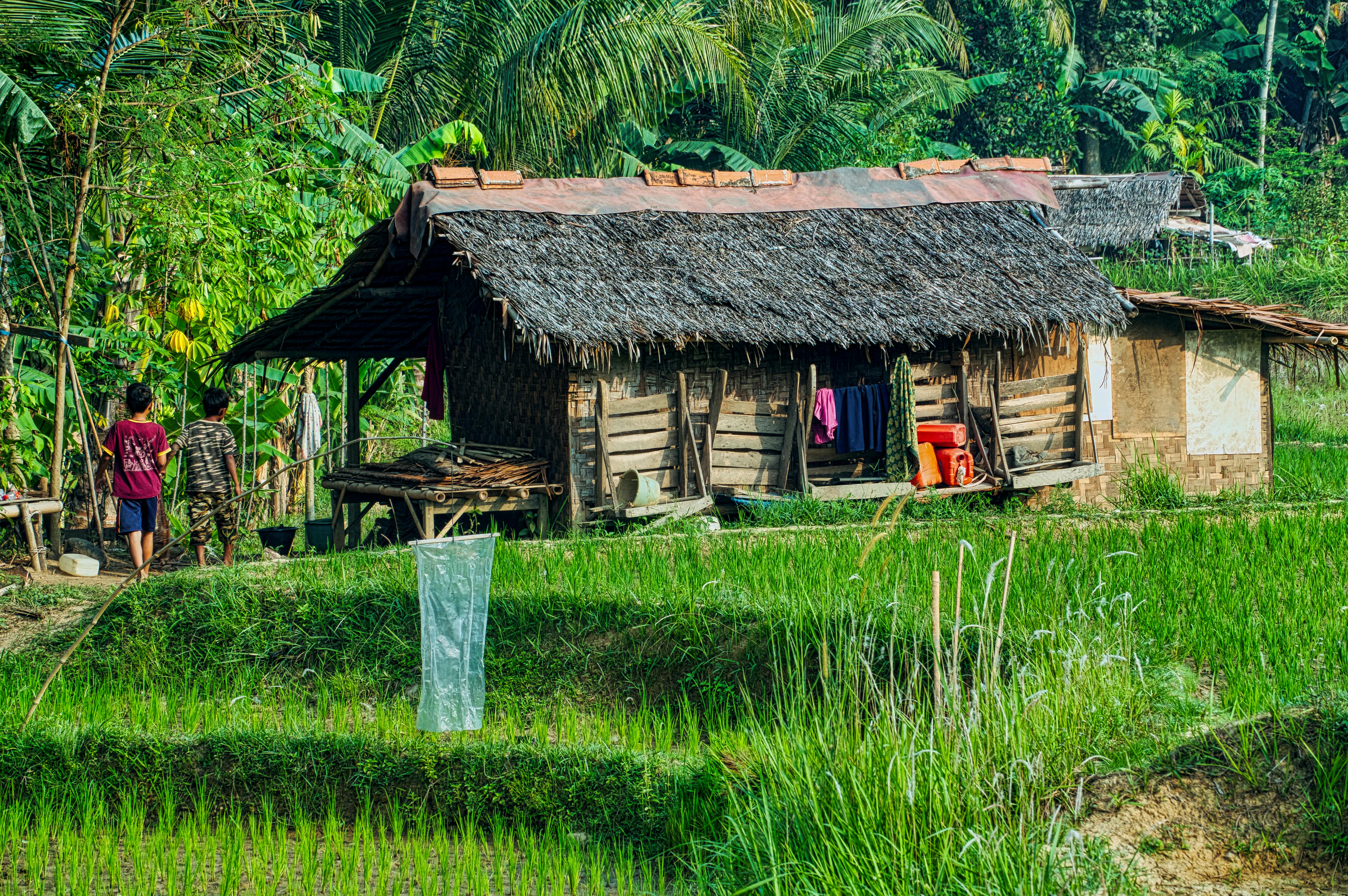 Brown Wooden Hut \u00b7 Free Stock Photo