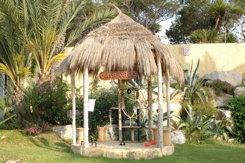 Free Outdoor view of a rustic Cats Cafe surrounded by tropical plants and greenery. Stock Photo