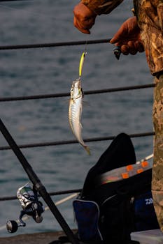 Fisherman displaying freshly caught fish on İstanbul pier.