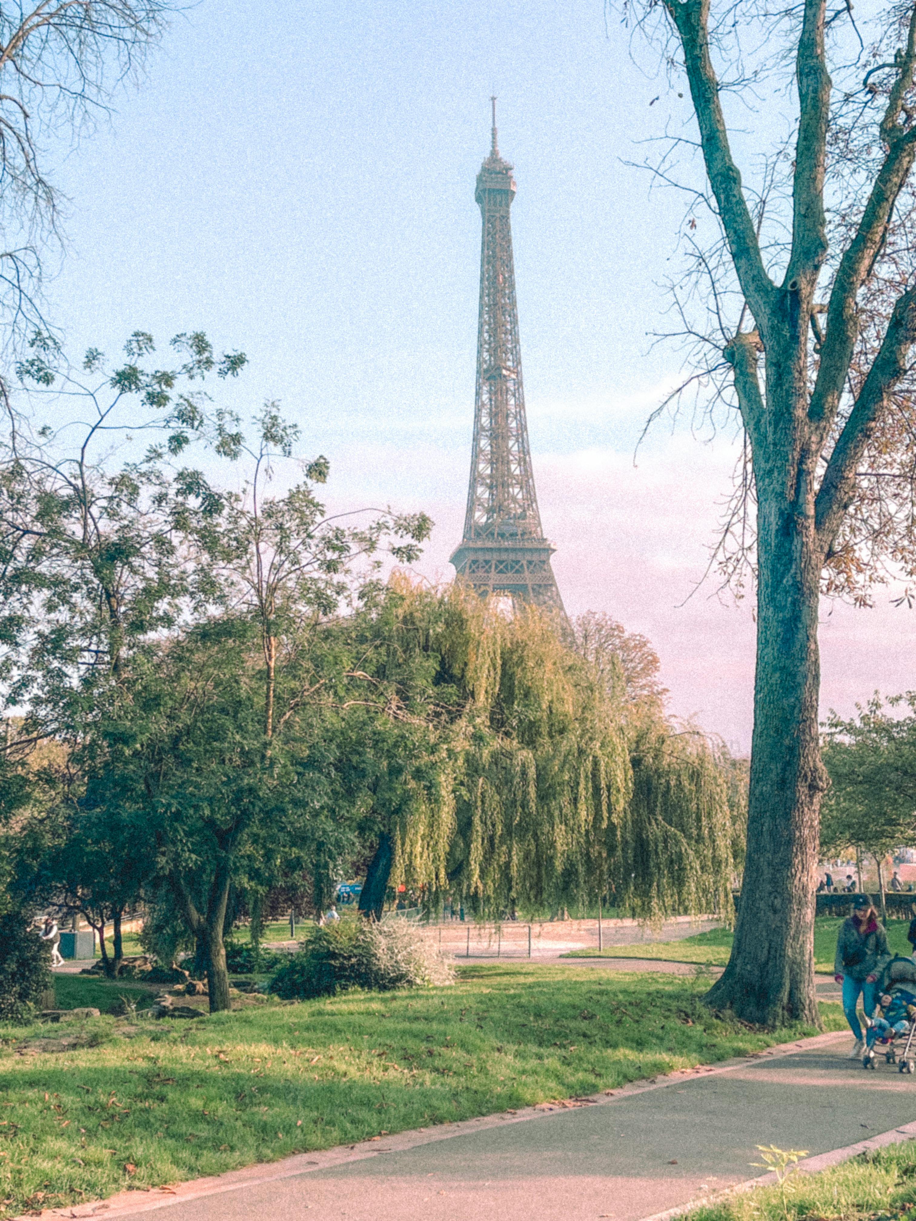 eiffel tower views from paris park