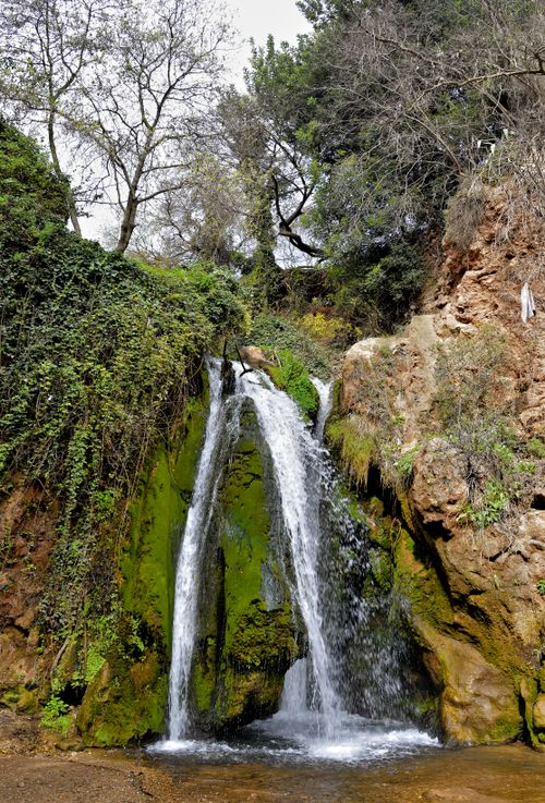 Free Tranquil waterfall surrounded by greenery in Sefrou, Morocco, showcasing nature's beauty. Stock Photo