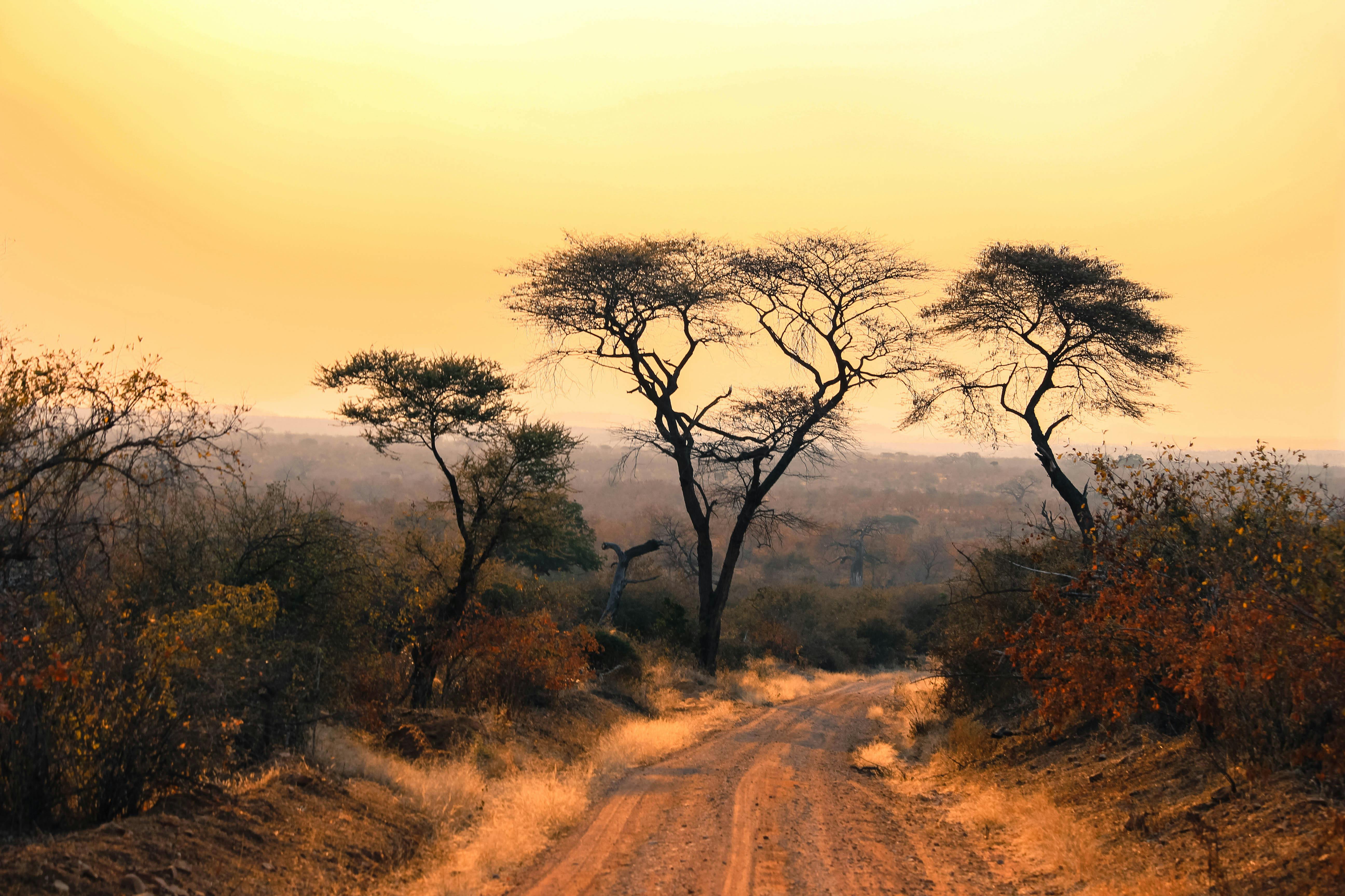 Sunset in African Savannah Landscape · Free Stock Photo