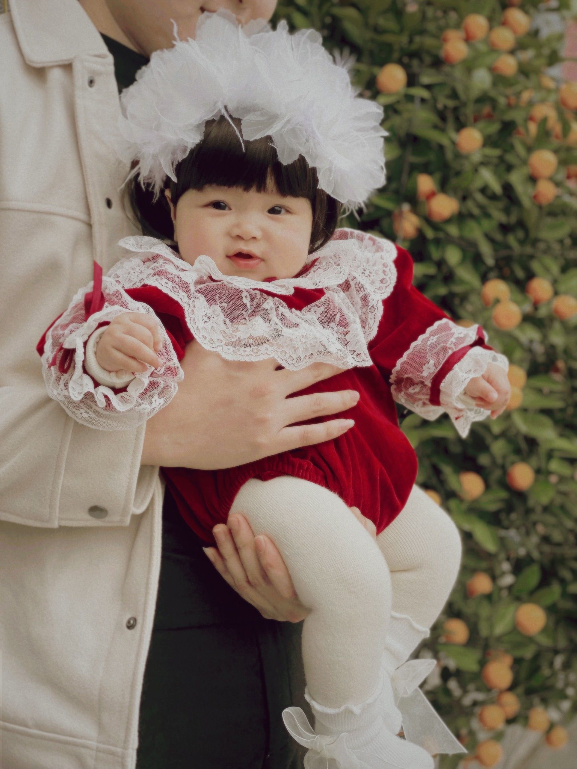 Charming Baby in Lace and Red Velvet Outfit Free Stock Photo Charming Baby in Lace and Red Velvet Outfit Free Stock Photo