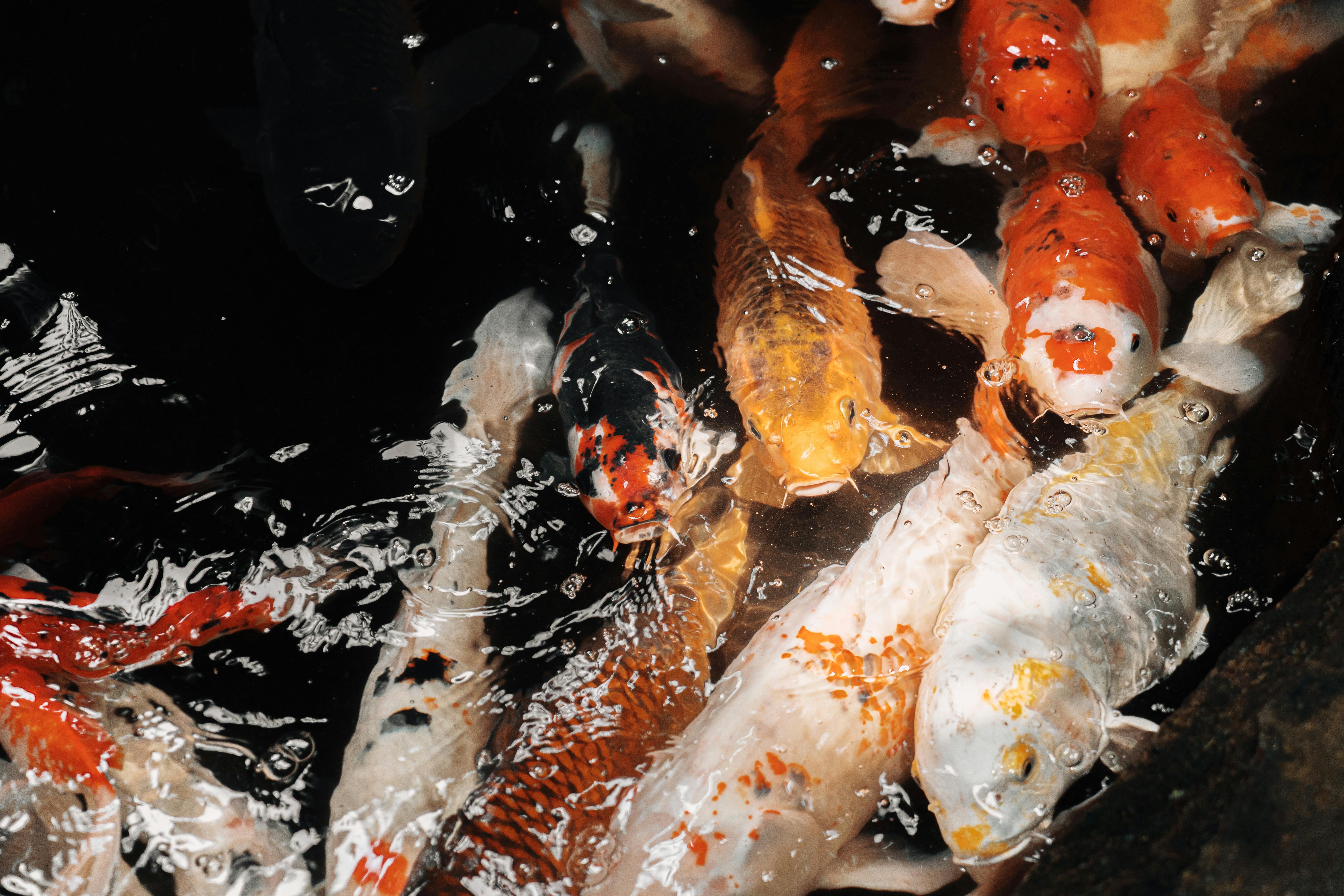 日经平均下跌超过1500日元，东京股市面临压力