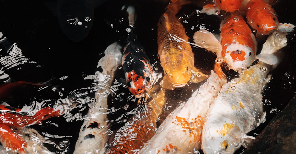 日经平均下跌超过1500日元,东京股市面临压力 日经平均下跌超过1500日元,东京股市面临压力