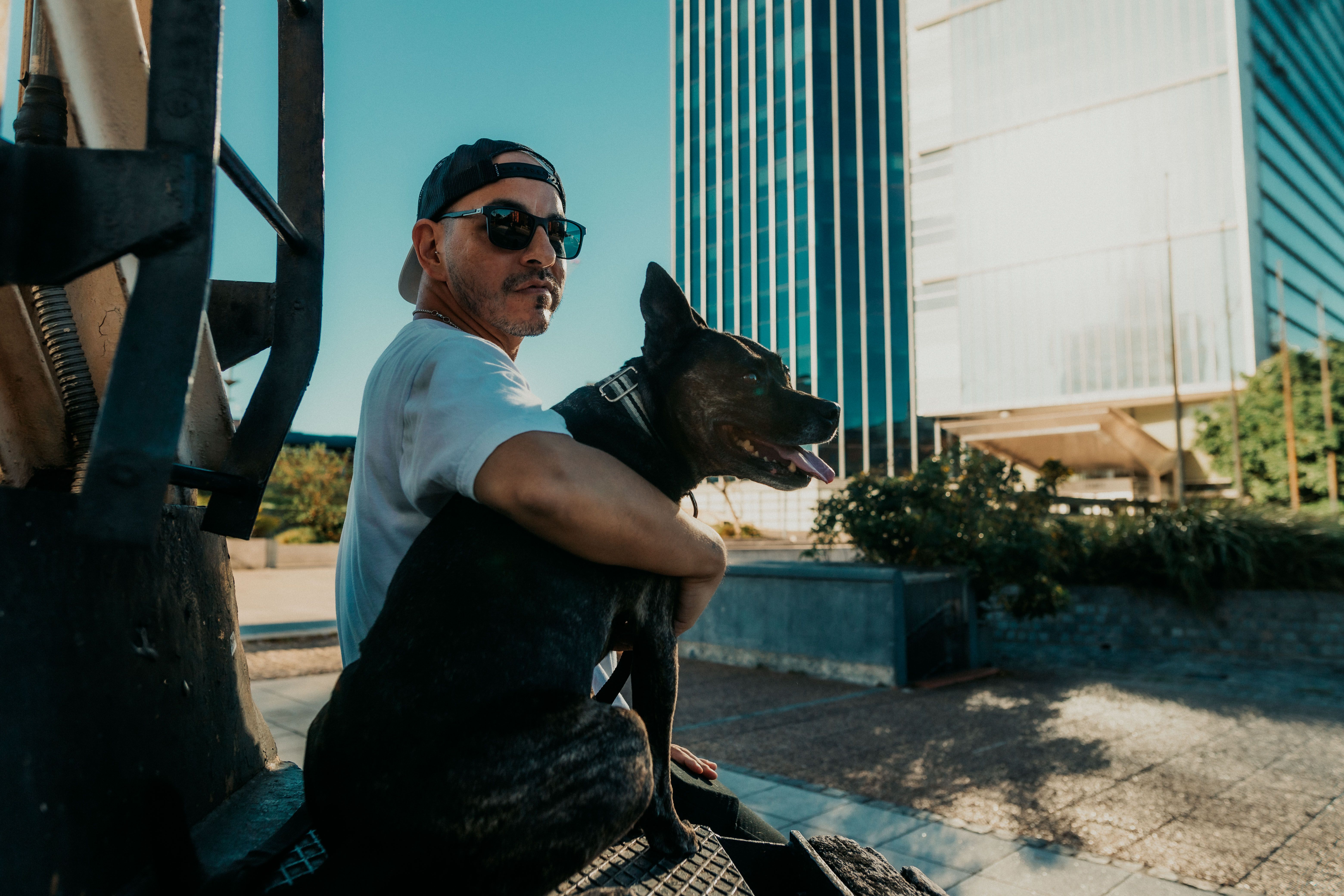 pet lifestyle more lifestyle pets — Photo by Gera Cejas on Pexels