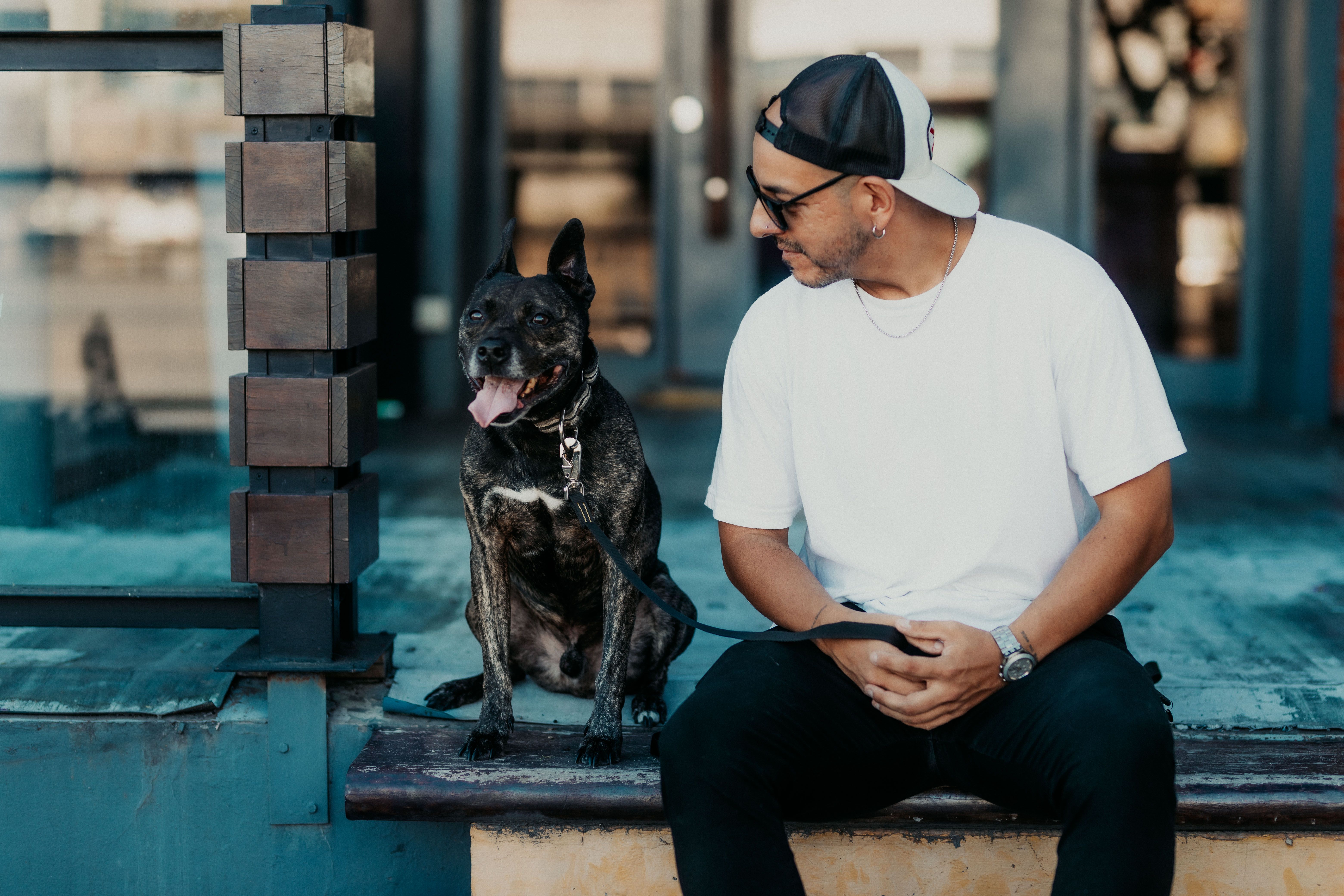 Local entrepreneur launches dog grooming business with big expansion plans — Photo by Gera Cejas on Pexels