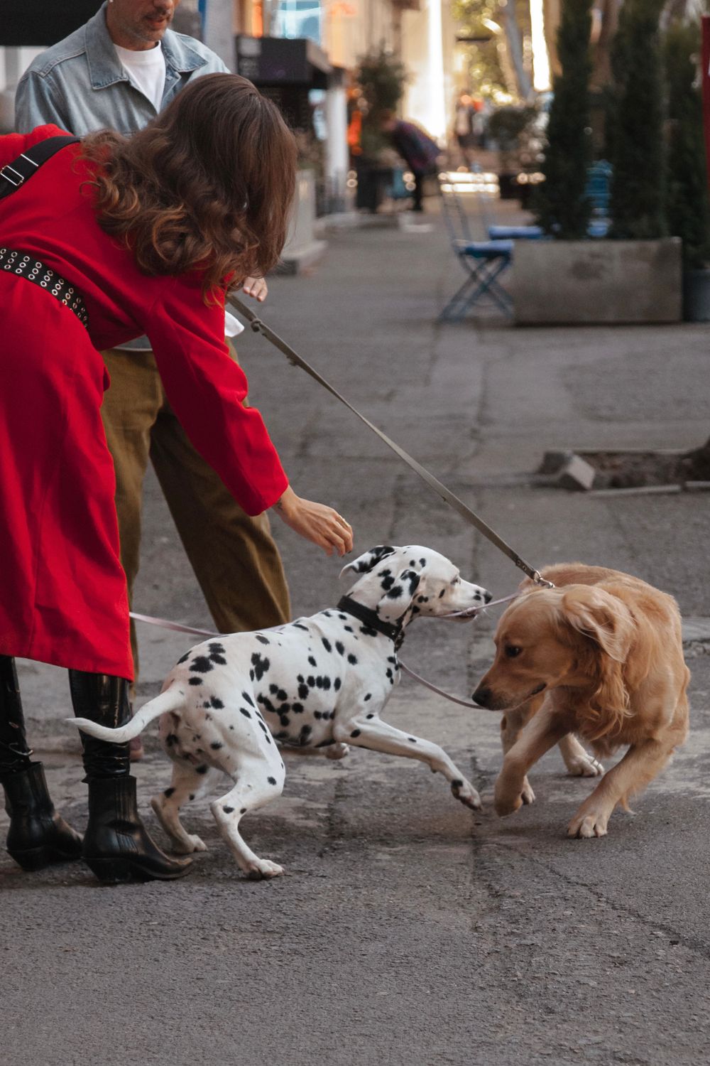 Persona paseando a su perro con correa por la calle
