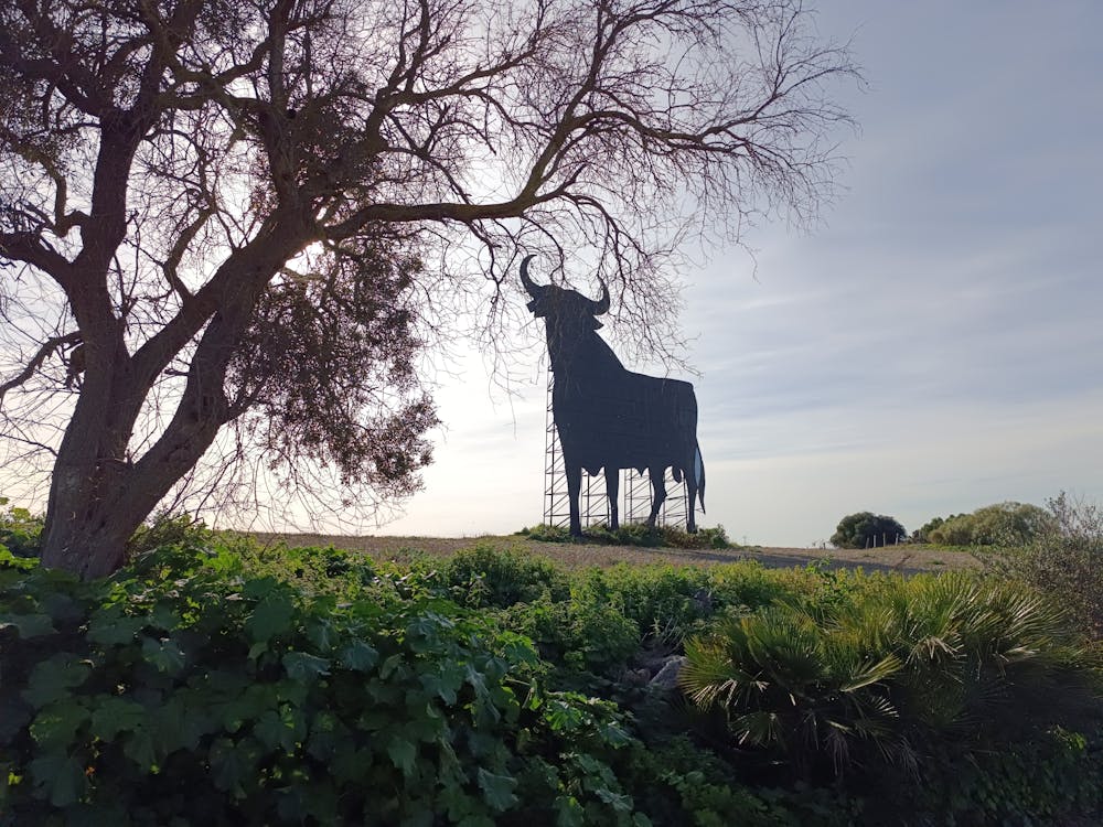 un icono español en la carretera, un símbolo de nuestra cultura y paisaje