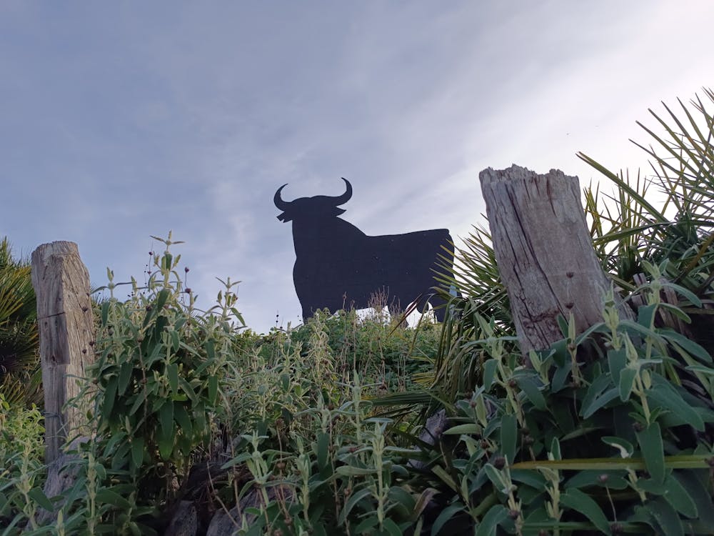 el toro de Osborne: más que un anuncio, un emblema nacional que trasciende generaciones