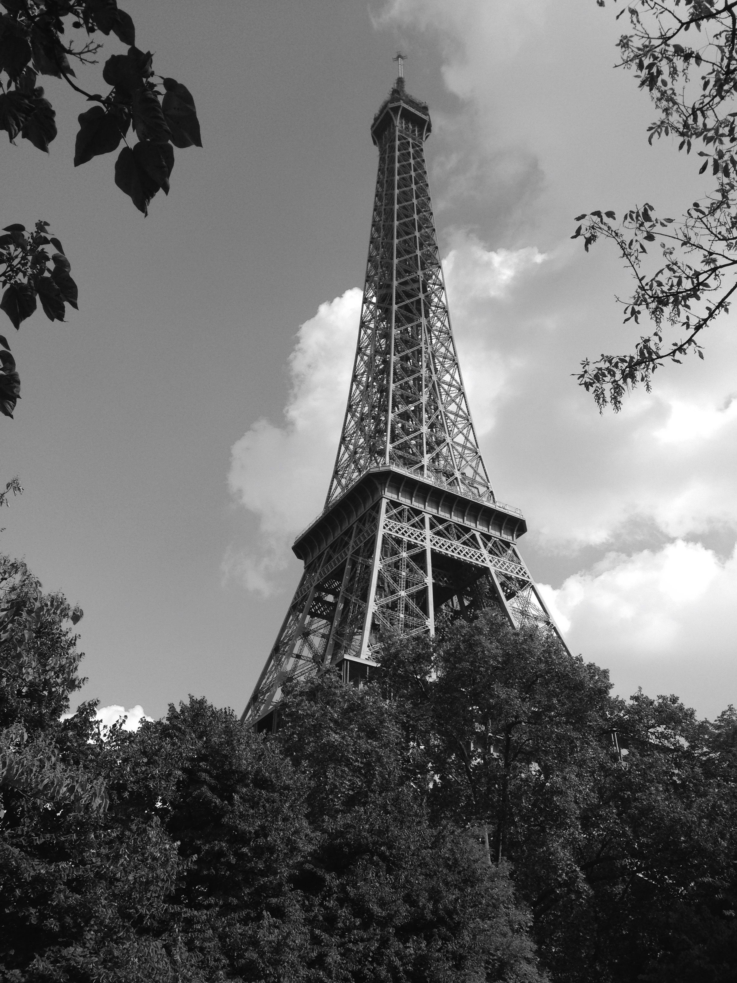Black and White Eiffel Tower Scenic View · Free Stock Photo