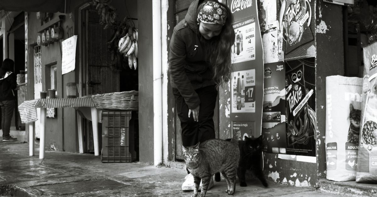 Foto de Meu Amigãozão Pet Shop e Clínica Veterinária