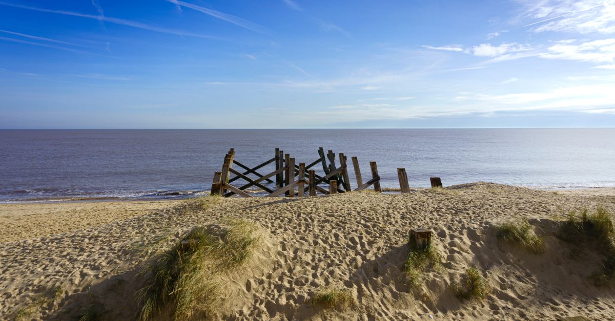 Norfolk survey