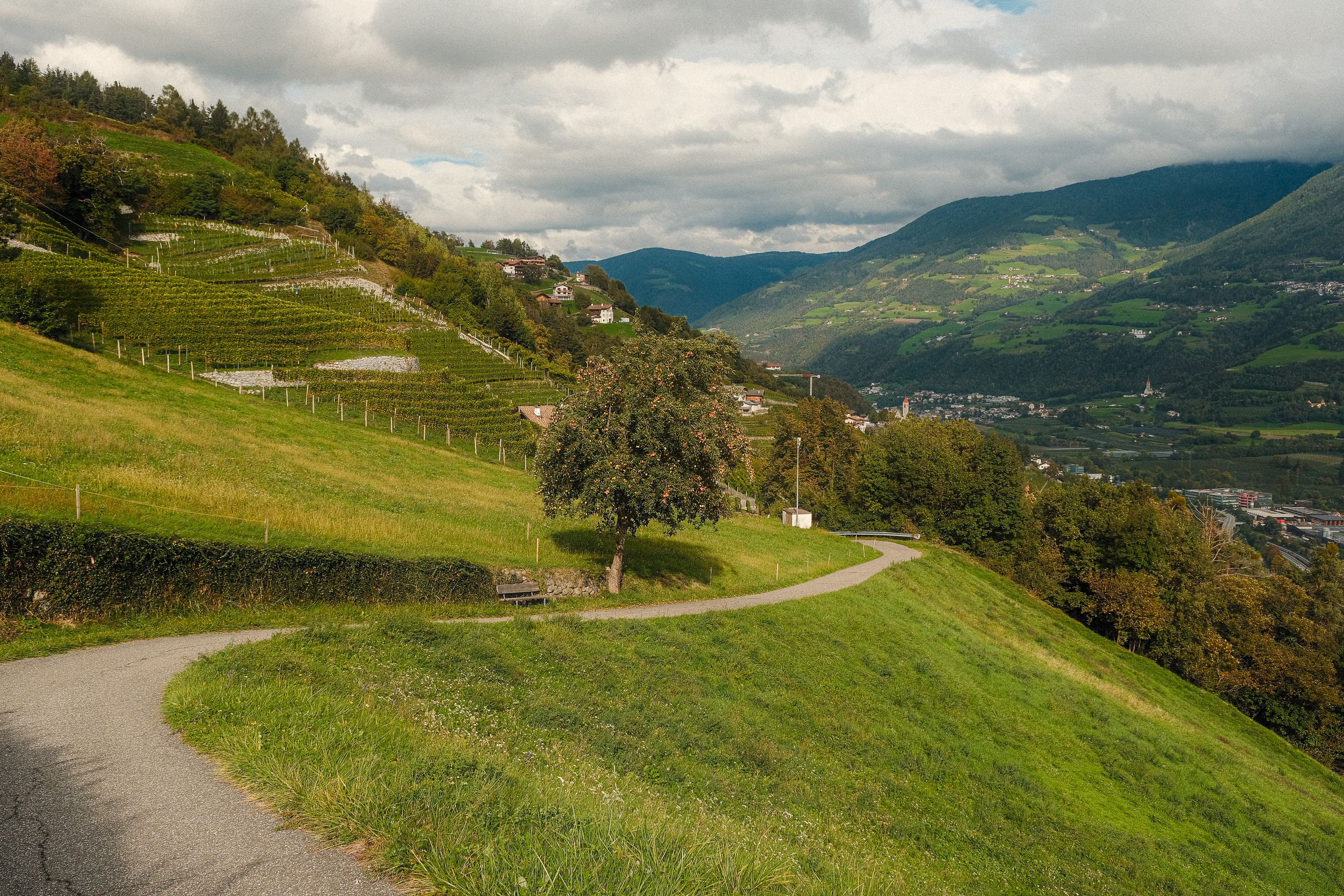 Bolzano