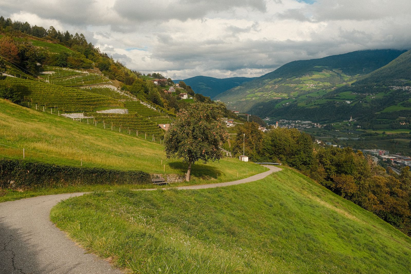 De Liechtenstein-Weg gaat door alle elf gemeenten