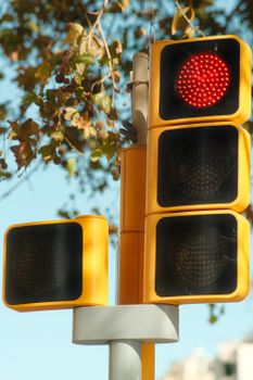 Red traffic light against a backdrop of leaves, symbolizing halting and urban congestion.