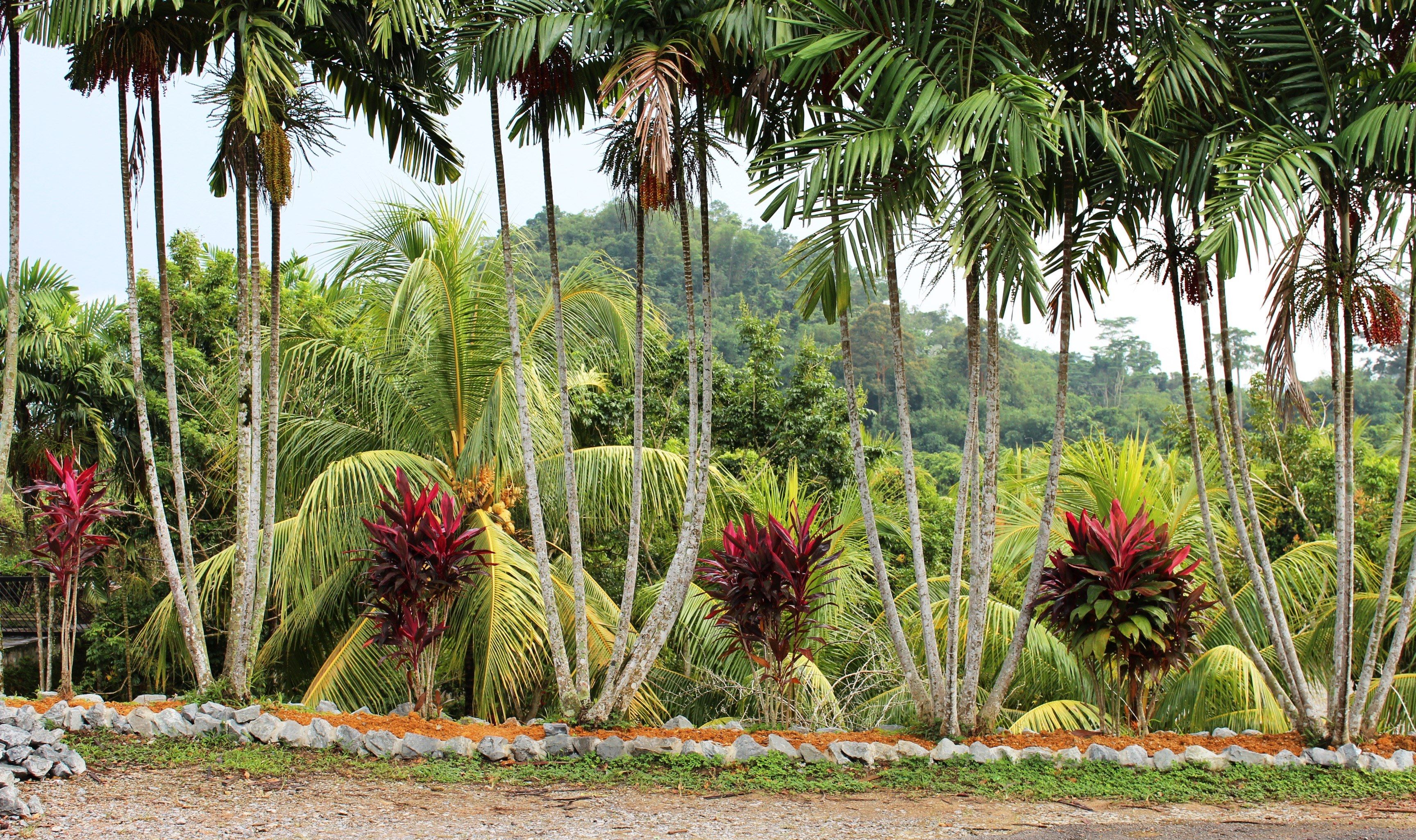Village culturel de Sarawak à Kuching