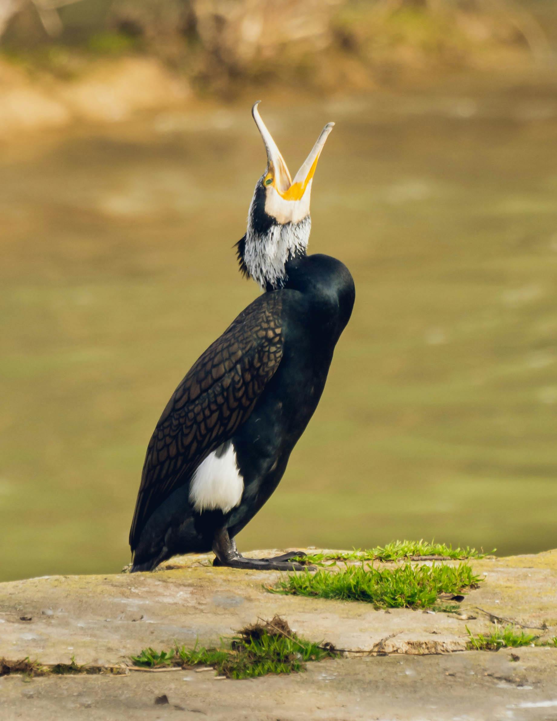 Simple Habits Of Greatness