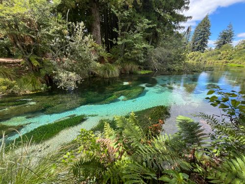 Free A vibrant river flowing through a lush forest with crystal clear water reflecting the surrounding trees. Stock Photo