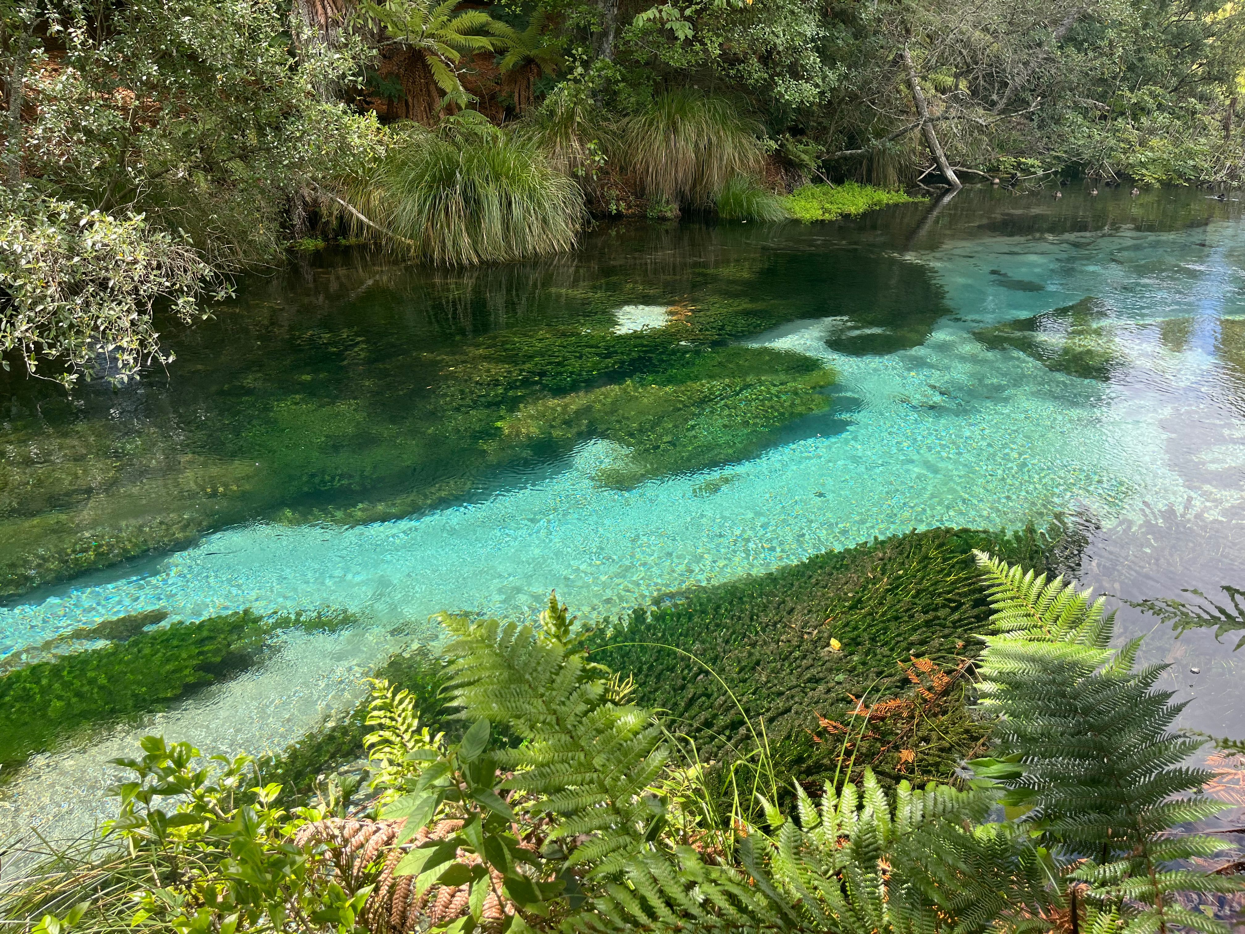 Mataranka