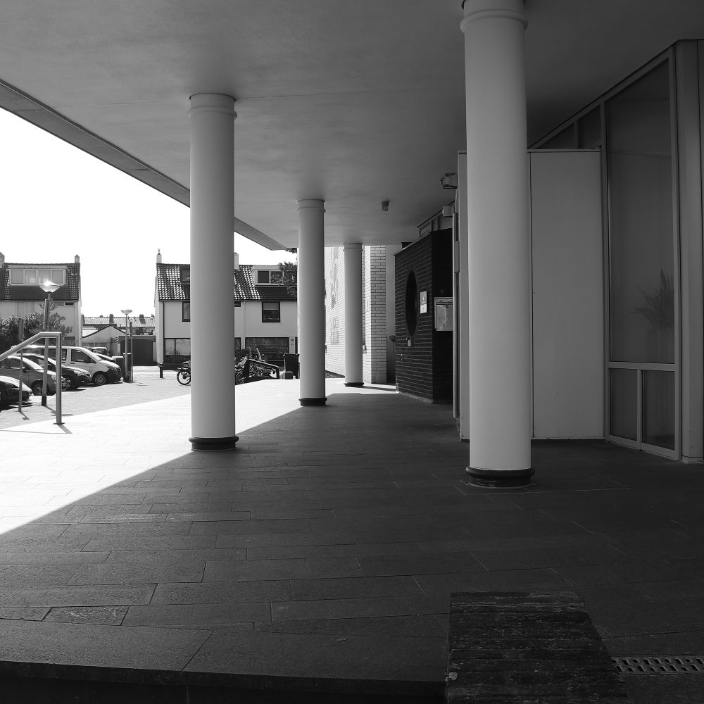 Maiden Newton — student move with boxes and a van