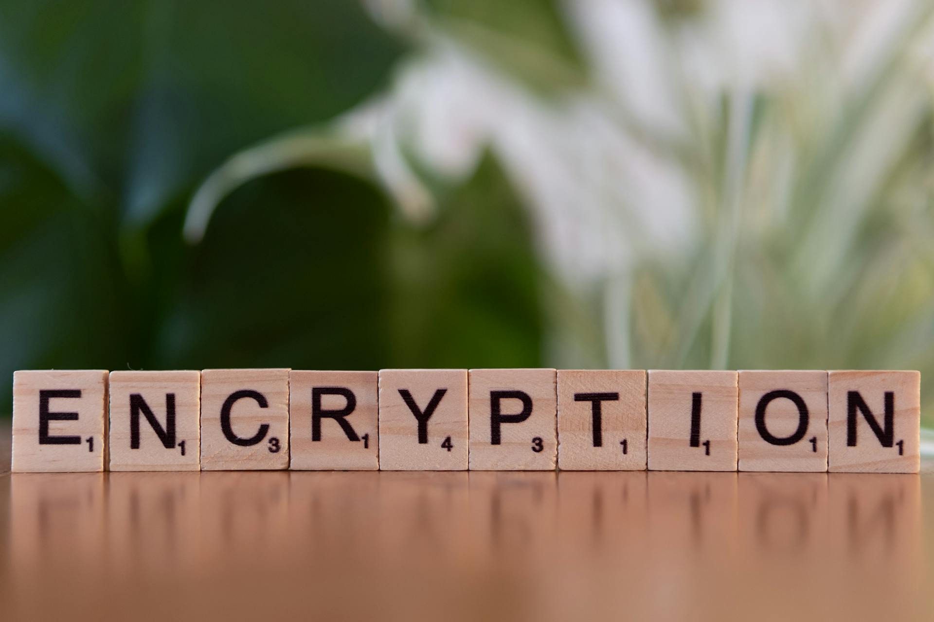 Close-up of wooden blocks spelling 'encryption', symbolizing data security and digital protection.