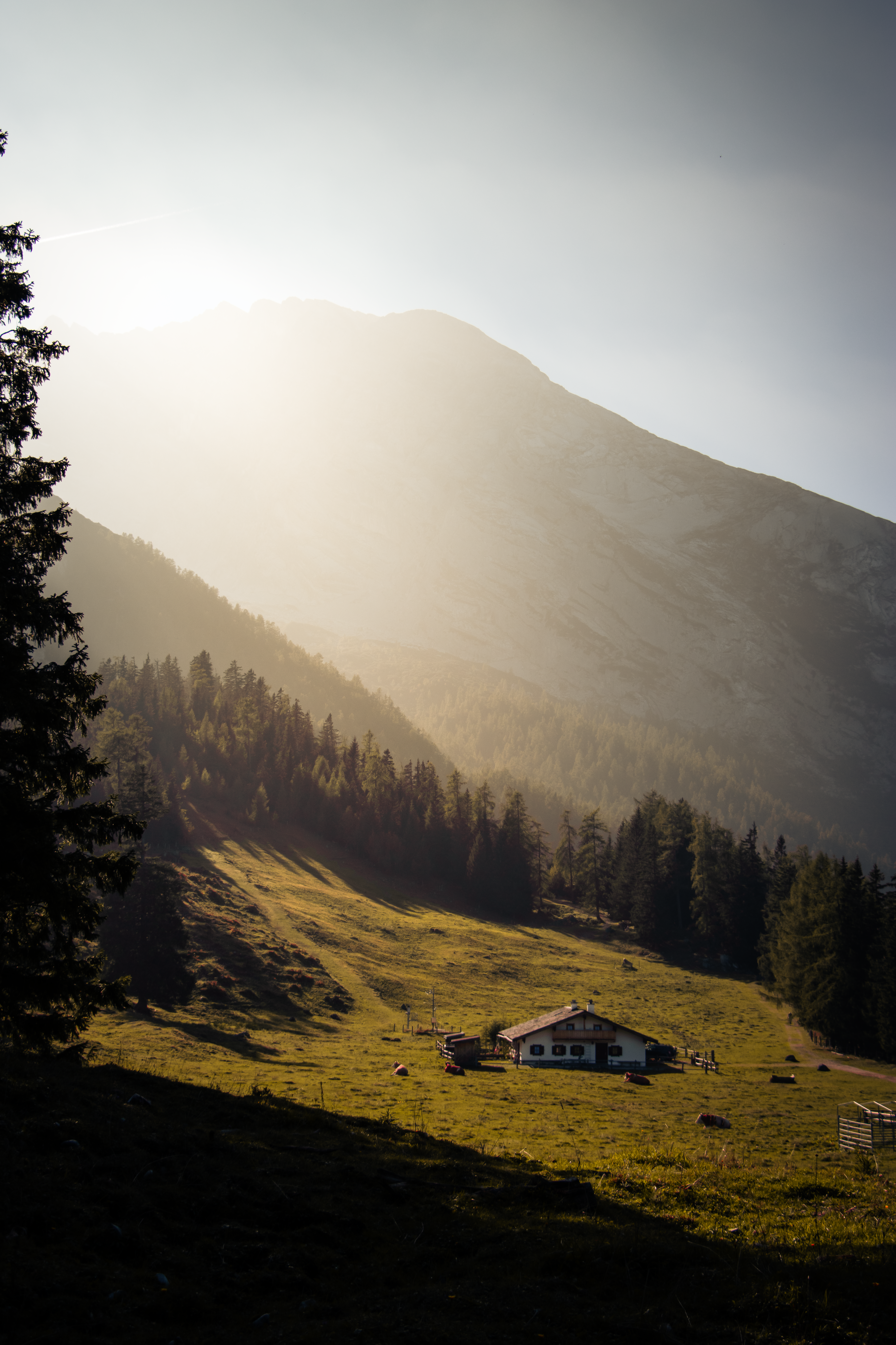 Breathtaking view of a cozy hut nestled in Berchtesgaden's lush mountains during sunset.