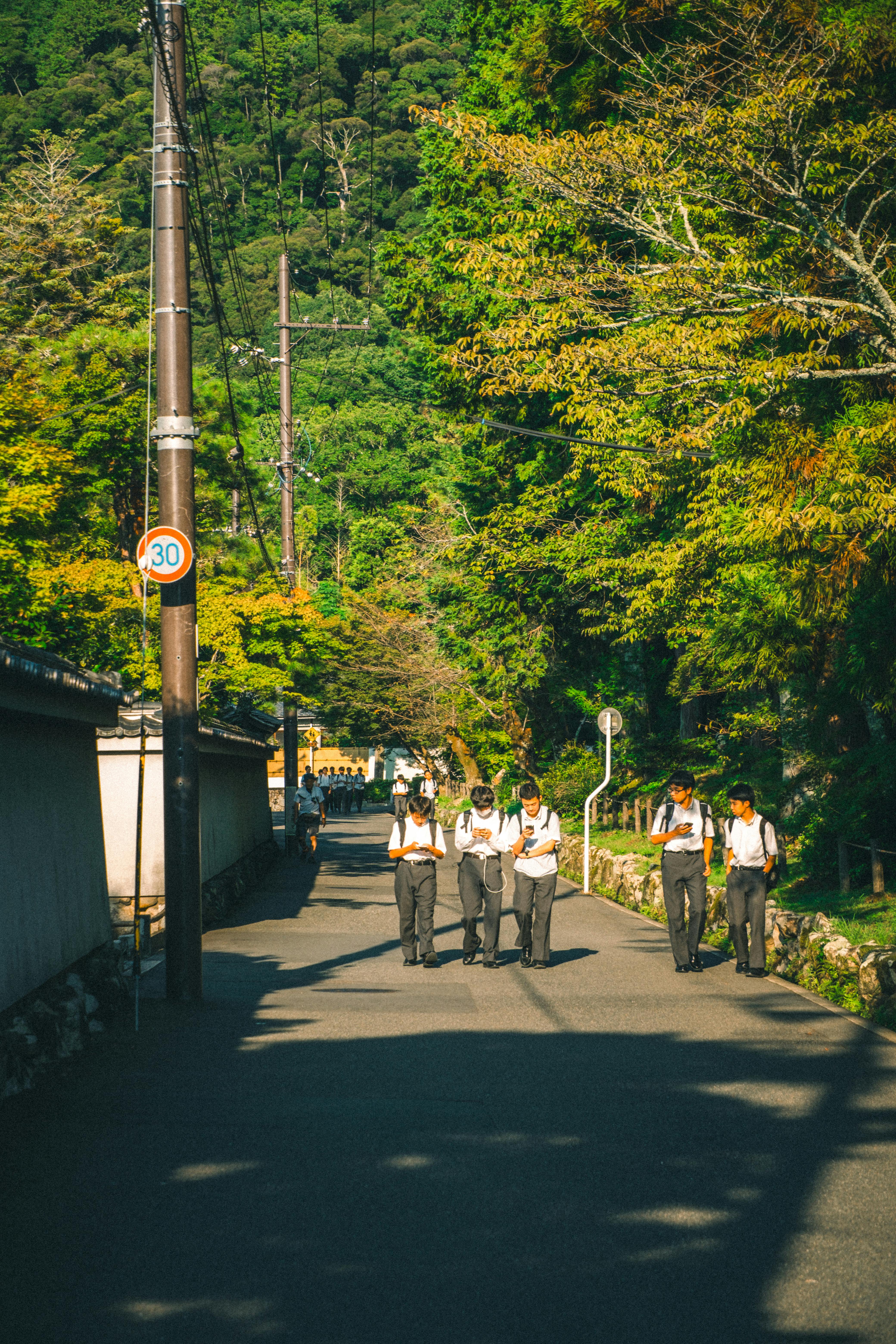 Group of Japanese students walking on a sunny street with lush greenery and mountains in the background.