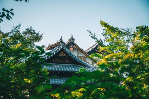 Free Japanese temple roof amidst lush greenery under a clear blue sky, showcasing serene architecture. Stock Photo
