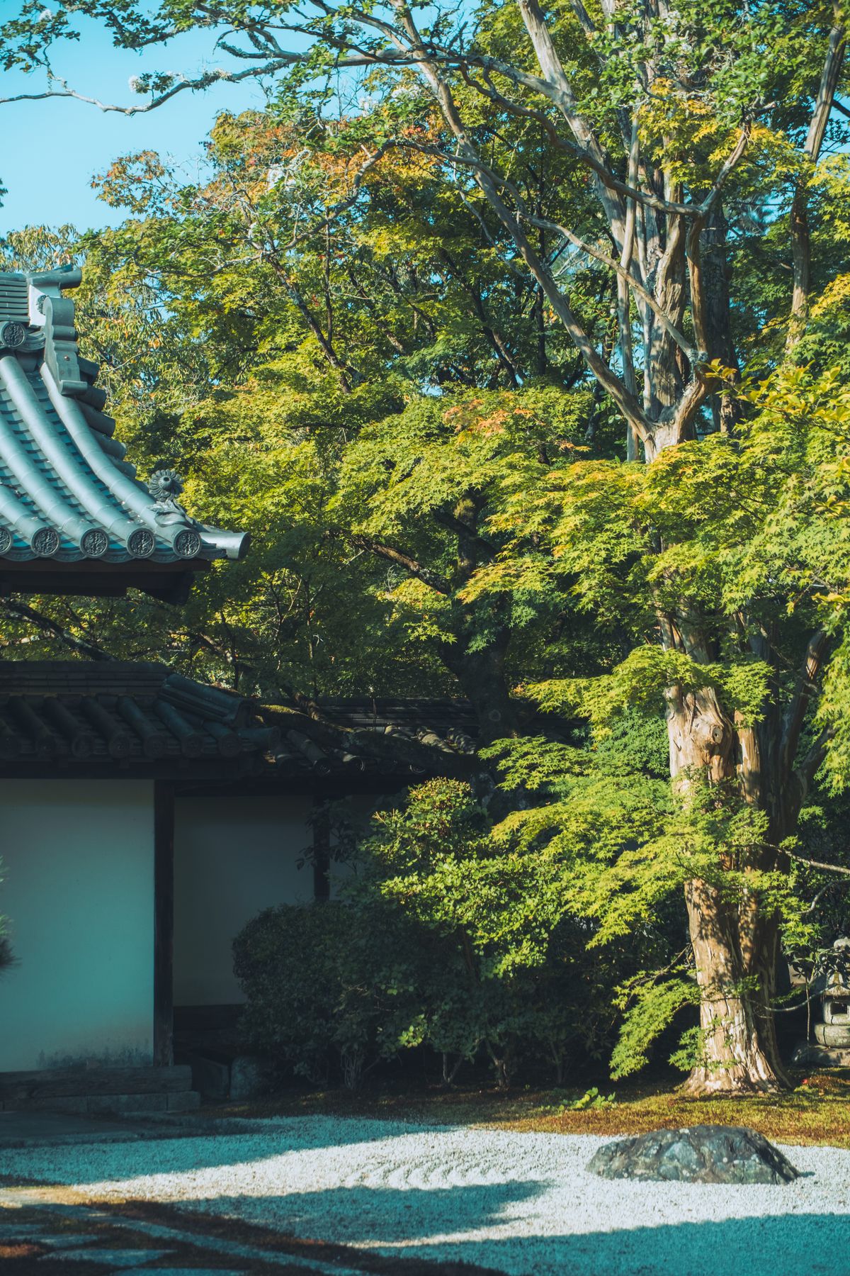Traditional Japanese architecture with blue-tiled roof and lush summer greenery — the quiet, well-maintained character of Fukui's temple and townscape